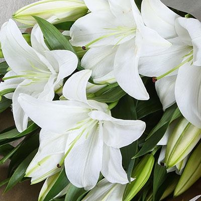 Just lilies