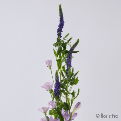 lilac green tall flower arrangement www.thegravesendflorist.co.uk