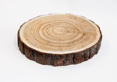 *Rustic Log Slice