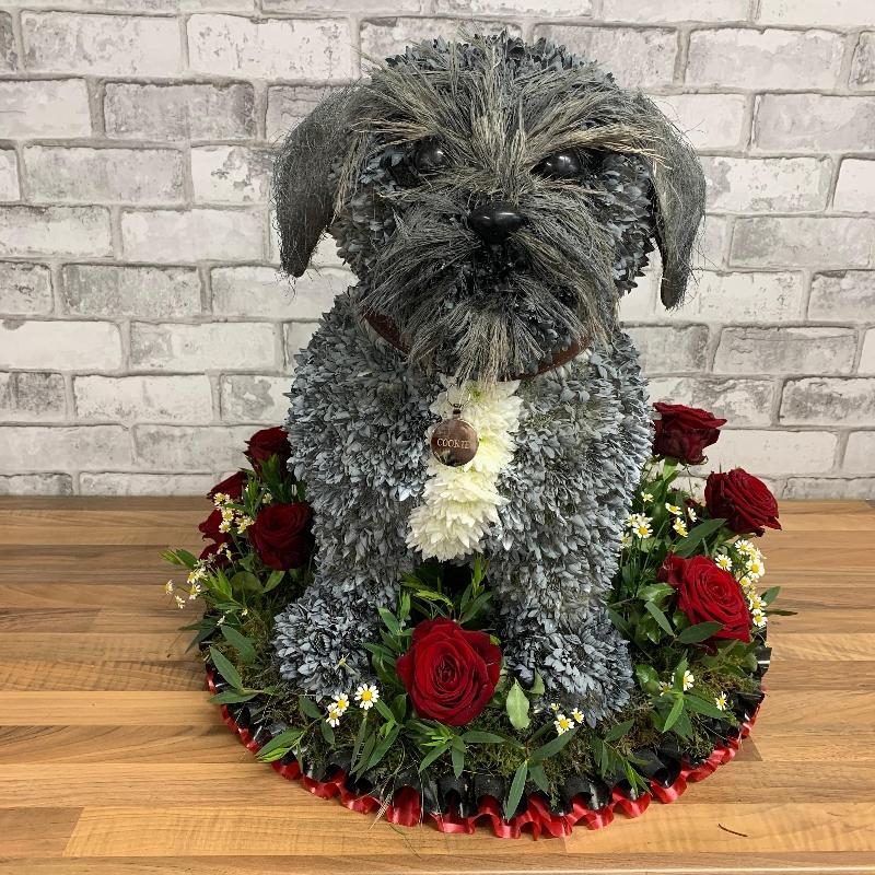 Dog, King Charles, spaniel, sitting, 3D, tribute, wreath, frame, flowers, florist, floral, funeral, sympathy, Gravesend, kent, london