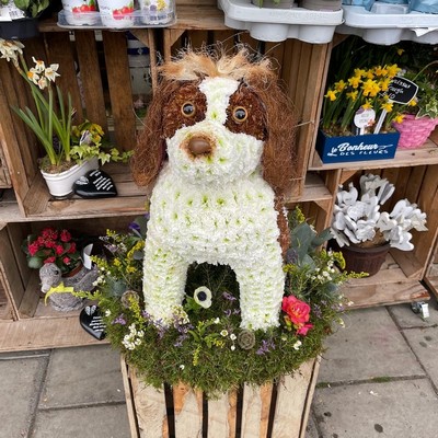 Dog, King Charles, spaniel, sitting, 3D, tribute, wreath, frame, flowers, florist, floral, funeral, sympathy, Gravesend, kent, london