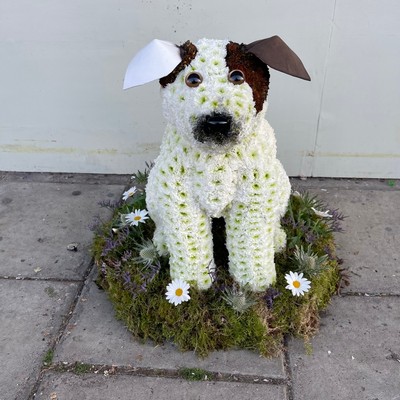 Dog, King Charles, spaniel, sitting, 3D, tribute, wreath, frame, flowers, florist, floral, funeral, sympathy, Gravesend, kent, london