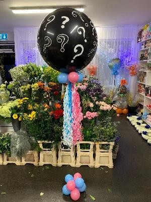 Gender, reveal, balloon, delivery, Gravesend, Northfleet, dartford, chatham, Strood, Rochester 