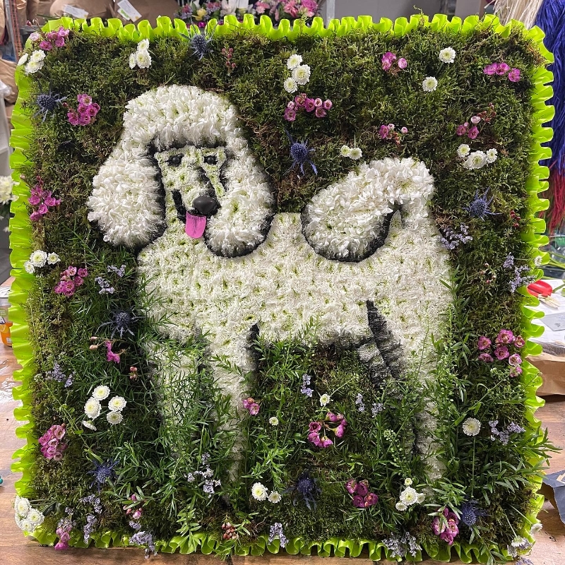 Dog, bedlington, terrier, funeral, tribute, sympathy, flowers, wreath, florist, gravesend, Northfleet, Kent, london