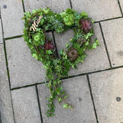 Planted, succulent, heart, Funeral, sympathy, wreath, tribute, flowers, florist, gravesend, Northfleet, Kent, london