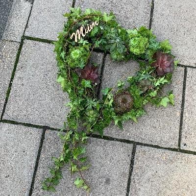 Planted, succulent, heart, Funeral, sympathy, wreath, tribute, flowers, florist, gravesend, Northfleet, Kent, london