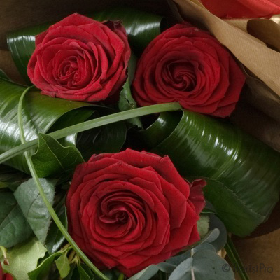 Red, rose, valentines, flowers, florist, Gravesend, delivery, love