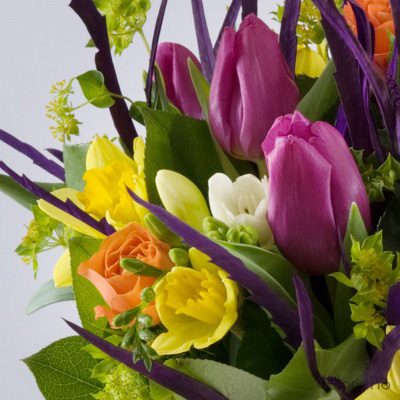 bright, vibrant, spring, handtie, bouquet, www.thegravesendflorist.co.uk