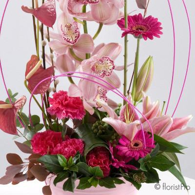 pink, red, orchid, anthurium, lily, modern, luxury, gift, arrangement, www.thegravesendflorist.co.uk