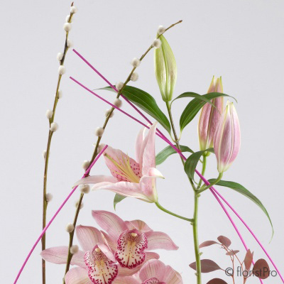 pink, red, orchid, anthurium, lily, modern, luxury, gift, arrangement, www.thegravesendflorist.co.uk