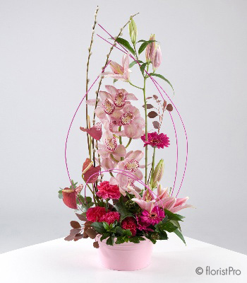 pink, red, orchid, anthurium, lily, modern, luxury, gift, arrangement, www.thegravesendflorist.co.uk