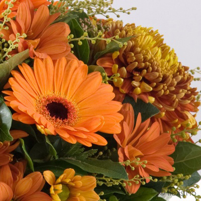 orange, autumn, rustic, posy, dome, arrangement, www.thegravesendflorist.co.uk