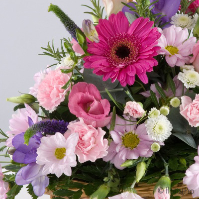 pink, purple, gerbera, freesia, basket, arrangement, www.thegravesendflorist.co.uk