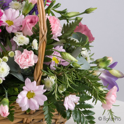 pink, purple, gerbera, freesia, basket, arrangement, www.thegravesendflorist.co.uk