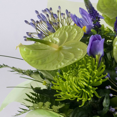 anthurium, lime green, purple, handtie, bouquet, www.thegravesendflorist.co.uk