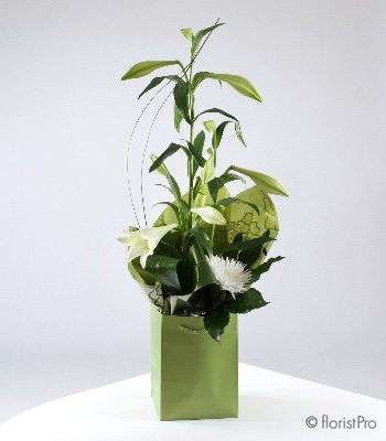 white, green, lily, chrysanthemum bloom, gift, bouquet, www.thegravesendflorist.co.uk