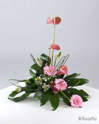 pink modern anthurium gerbera arrangement www.thegravesendflorist.co.uk