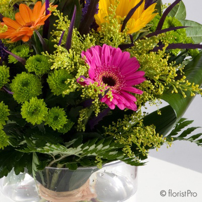 bright, vibrant, sunflower, handtie, bouquet, www.thegravesendflorist.co.uk
