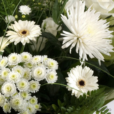 white, rose, gerbera, chrysanthemum, handtie, gift, bouquet, www.thegravesendflorist.co.uk