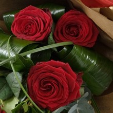 Red, rose, valentines, flowers, florist, Gravesend, delivery, love