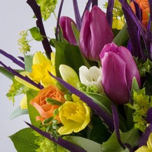 bright, vibrant, spring, handtie, bouquet, www.thegravesendflorist.co.uk