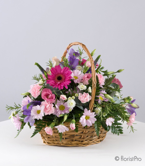 pink, purple, gerbera, freesia, basket, arrangement, www.thegravesendflorist.co.uk