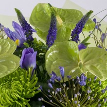 anthurium, lime green, purple, handtie, bouquet, www.thegravesendflorist.co.uk