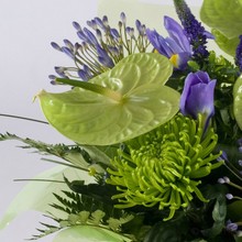 anthurium, lime green, purple, handtie, bouquet, www.thegravesendflorist.co.uk