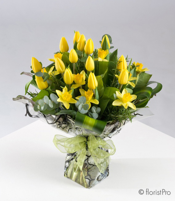 tulip, daffodil, yellow, handtie, bouquet, gift, www.thegravesendflorist.co.uk