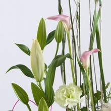 lily, orchid, carnation, calla, modern, arrangement, www.thegravesendflorist.co.uk