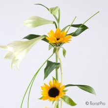 yellow, white, sunflower, rose, lily, modern, designer, arrangement, gift, www.thegravesendflorist.co.uk
