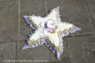 Orchid Star