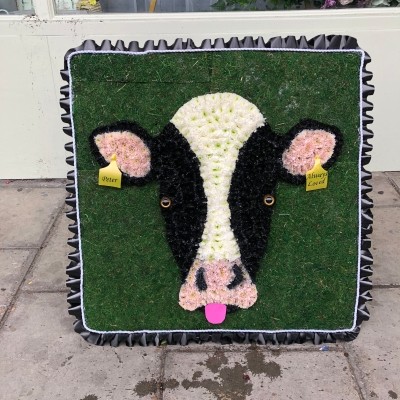 Cow, face, farmer, milkman, dairy, Holstein, friesian, Funeral, sympathy, wreath, tribute, flowers, florist, gravesend, Northfleet, Kent, London, Essex 