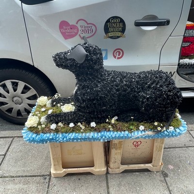 Funeral, sympathy, wreath, tribute, flowers, florist, gravesend, Northfleet, Kent, London, Lurcher, greyhound, dog, laying, gypsy, traveller, 