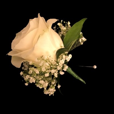 Rose, gypsophila, buttonhole, button, hole, groom, dad, usher, best man, Northfleet, Gravesend, Kent, London, essex