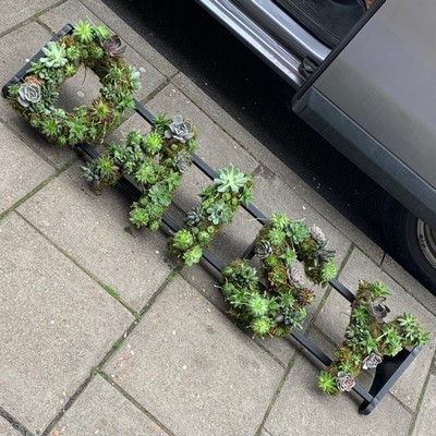 Succulent, letters, unusual, different, green, Funeral, sympathy, wreath, tribute, flowers, florist, gravesend, Northfleet, Kent, London