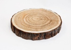 *Rustic Log Slice