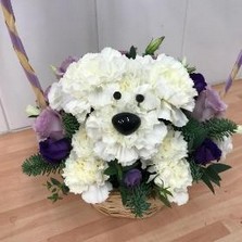 Dog, basket, flowers, gift, bouquet, arrangement, birthday, mother’s day, thank you, Gravesend, Florist, delivery