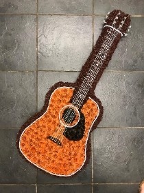 Acoustic guitar