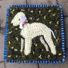 Dog, bedlington, terrier, funeral, tribute, sympathy, flowers, wreath, florist, gravesend, Northfleet, Kent, london