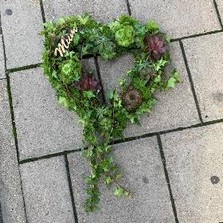 Planted, succulent, heart, Funeral, sympathy, wreath, tribute, flowers, florist, gravesend, Northfleet, Kent, london