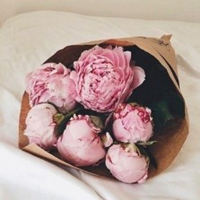 Just peonies