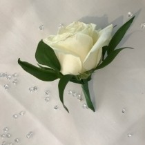 Rose, buttonhole, button, hole, groom, best man, dad, usher, wedding, Northfleet, Gravesend, Kent, London.