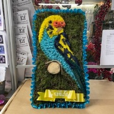 Budgie, budgerigar, bird, pet, Funeral, sympathy, wreath, tribute, flowers, florist, gravesend, Northfleet, Kent, London, Essex 