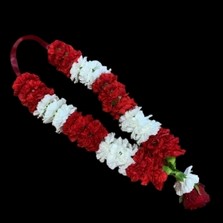 Indian, Sikh, Hindu, Asian, wedding, flowers, neck, Garland, Pallas, haas, necklace, red, white, carnations, gurdwara, guru Nanak, Gravesend, Kent, london