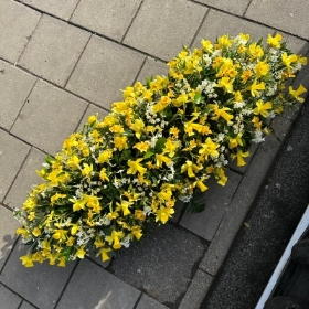 Daffodil, narcissus, coffin, top, spray, Funeral, sympathy, wreath, tribute, flowers, florist, gravesend, Northfleet, Kent, London, Essex 