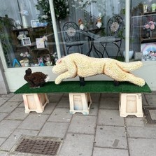 Dog, lurcher, greyhound, racing, chasing, coursing, hare, rabbit, traveller, gypsy, Funeral, sympathy, wreath, tribute, flowers, florist, gravesend, Northfleet, Kent, London