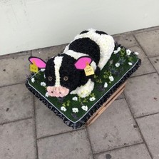 Black, white, dairy, cow, heifer, farmer, milkman, Holstein, friesian, Funeral, sympathy, wreath, tribute, flowers, florist, gravesend, Northfleet, Kent, London, Essex 