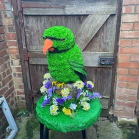 Parakeet, parrot, bird, green, Funeral, sympathy, wreath, tribute, flowers, florist, gravesend, Northfleet, Kent, London, Essex 