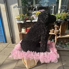 Xl, oversized, large, big, dog, sitting, hound, traveller, gypsy, Funeral, sympathy, wreath, tribute, flowers, florist, gravesend, Northfleet, Kent, London